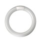 CIRCOLINA FLUO TRIFOSFORO 22W