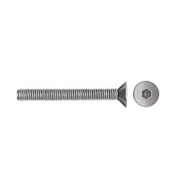 VITI P/BUSSOLA T.S.P. ESAG INCAS 6MA BRUN 30 MM