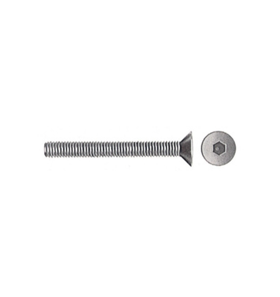 VITI P/BUSSOLA T.S.P. ESAG INCAS 8MA BRUN 30 MM