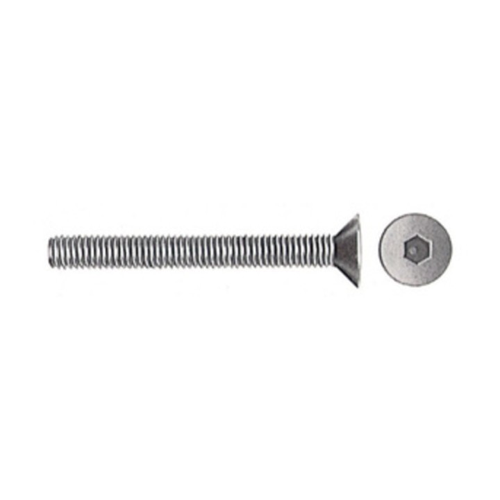VITI P/BUSSOLA T.S.P. ESAG INCAS 8MA BRUN 30 MM
