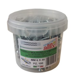 ALLFIX 100 TASSELLI C/VITI F4 6X30 MM*