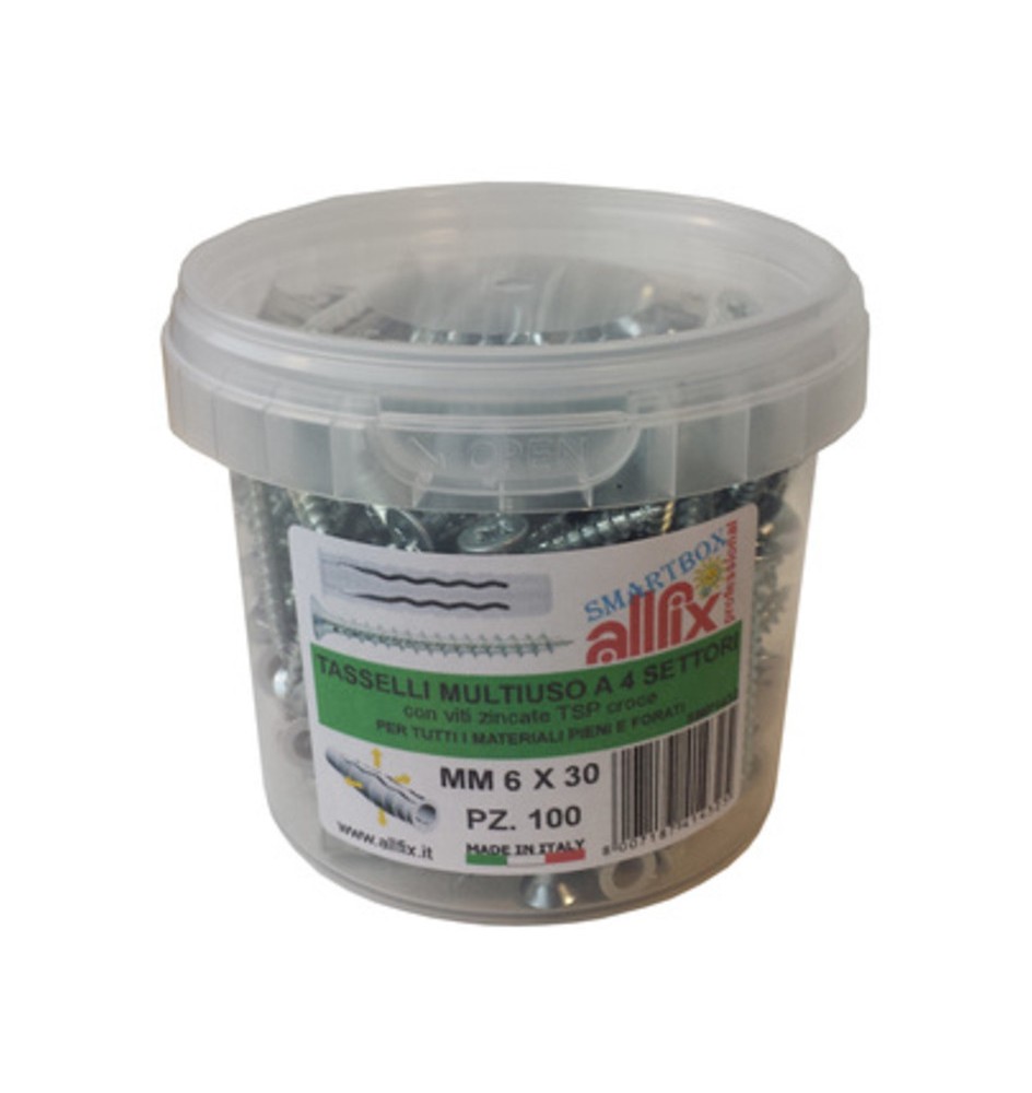 ALLFIX 100 TASSELLI C/VITI F4 6X30 MM*