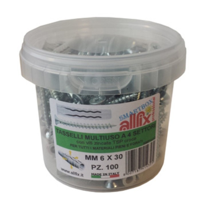 ALLFIX 100 TASSELLI C/VITI F4 6X30 MM*