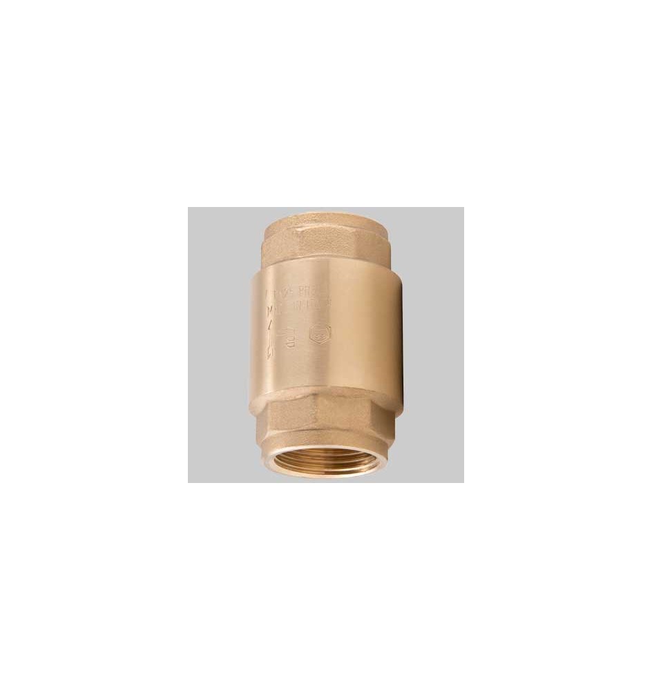 VALVOLA DI RITEGNO UNIVERSALE PESANTE - 3"
