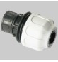 GIUNTO FEMMINA DIRITTO IN PP - 1" x 25