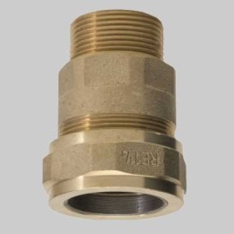 RACCORDO OTTONE PER TUBO FERRO M - 3/4