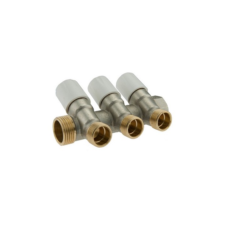 COLLETTORE DI DISTRIBUZIONE CON VITONI DI CHIUSURA 1" x 1/2 2 Vie