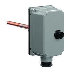 TERMOSTATO AD IMMERSIONE 100° -