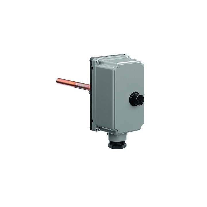 TERMOSTATO AD IMMERSIONE 100° -
