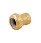 RACCORDO FEMMINA IN OTTONE PER TUBO PE 1/2" x 20