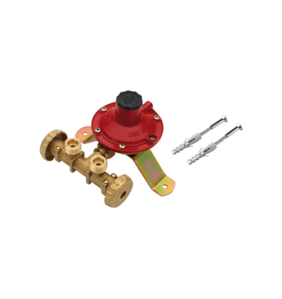 CENTRALINA P/GAS A 2 RUBIN 4 KG/H S/FLESS MIGN*