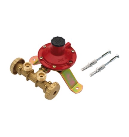 CENTRALINA P/GAS A 2 RUBIN 4 KG/H S/FLESS MIGN*