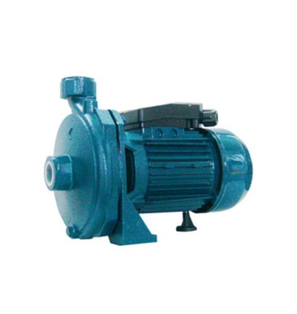 ELETTROPOMPA CENTRIFUGA 1,0 HP CD67N