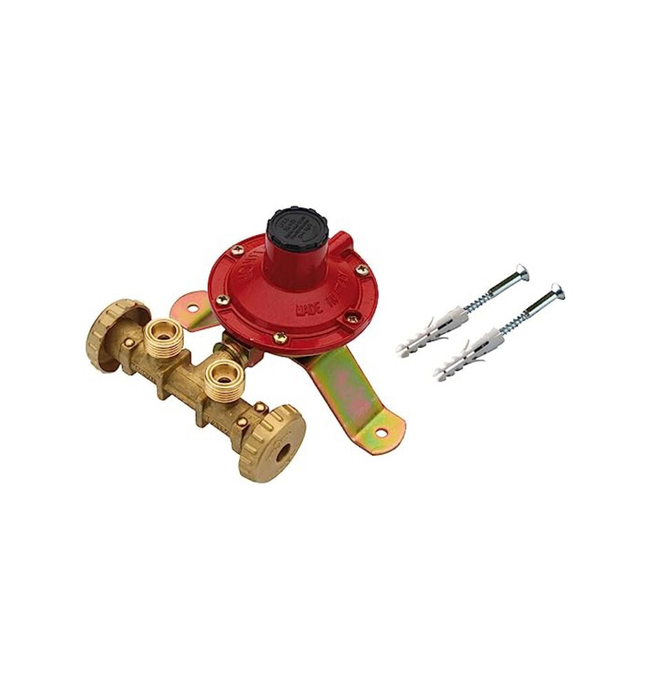 CENTRALINA P/GAS A 2 RUBIN 7 KG/H S/FLESS MIGN*