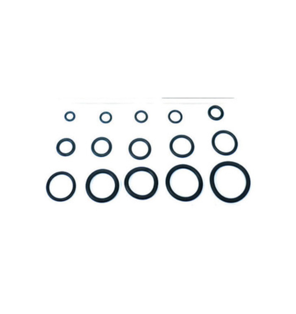 O-RING 5,70X1,90 P/FLESSIBILE MISCELATORE PZ.100
