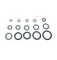 O-RING 7,20X1,90 P/FLESSIBILE MISCELATORE PZ.100