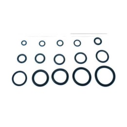 O-RING 8,00X1,90 P/FLESSIBILE MISCELATORE PZ.100
