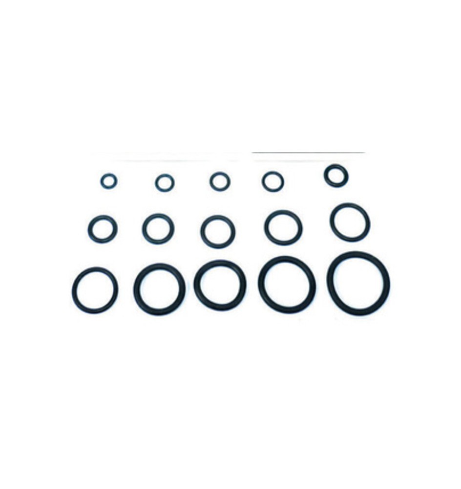 O-RING 8,00X1,90 P/FLESSIBILE MISCELATORE PZ.100