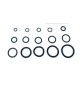 O-RING 8,00X1,90 P/FLESSIBILE MISCELATORE PZ.100