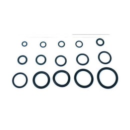 O-RING 8,90X1,90 P/FLESSIBILE MISCELATORE PZ.100