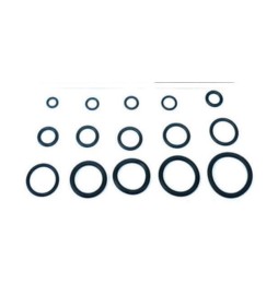 O-RING 8,90X1,90 P/FLESSIBILE MISCELATORE PZ.100