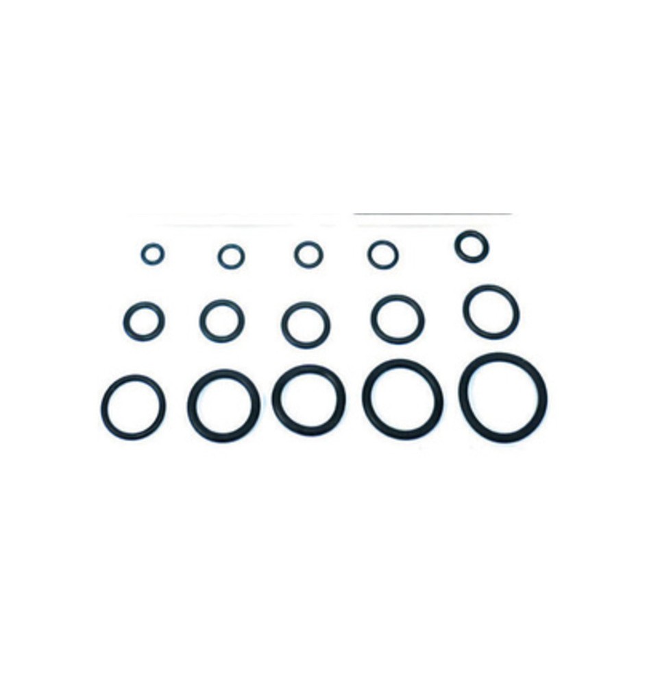 O-RING 8,90X1,90 P/FLESSIBILE MISCELATORE PZ.100