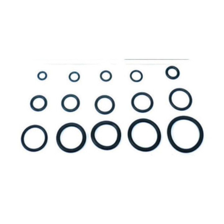 O-RING 8,90X1,90 P/FLESSIBILE MISCELATORE PZ.100