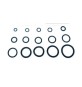 O-RING 8,90X1,90 P/FLESSIBILE MISCELATORE PZ.100