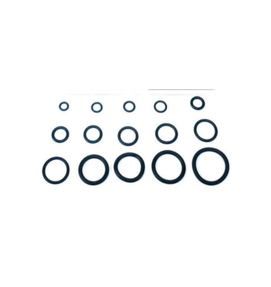 O-RING 13,60X2,70 P/CANNA LAVELLO PZ.100