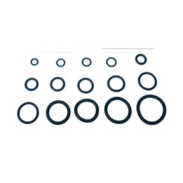 O-RING 15,10X2,70 P/CANNA LAVELLO PZ.100