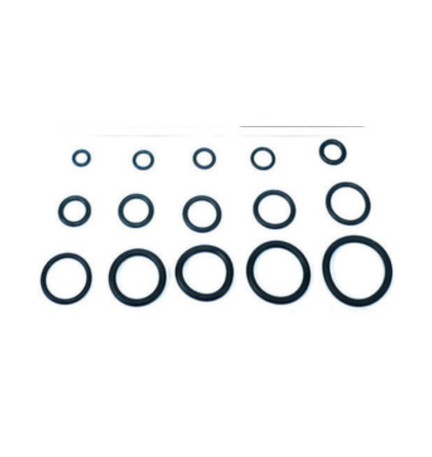 O-RING 15,10X2,70 P/CANNA LAVELLO PZ.100