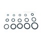 O-RING 15,10X2,70 P/CANNA LAVELLO PZ.100