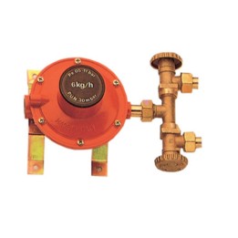 PL CENTRALINA P/GAS A 2 RUBIN 4 KG/H MIGNON