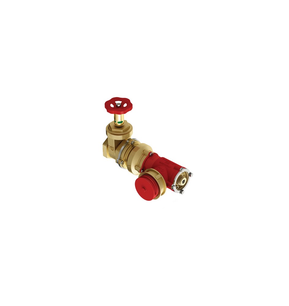GRUPPO AUTOPOMPA COMPACT 360 2"1/2 x 1