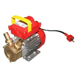 POMPA DA TRAVASO ROVER Hp 0,8 - 550 W - Racc. 25