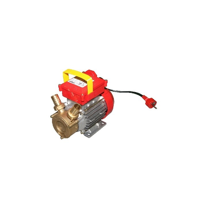 POMPA DA TRAVASO ROVER Hp 1 - 650 W - Racc. 30