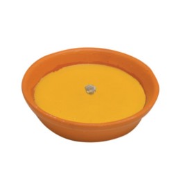 CITRONELLA IN COCCIO ANTIVENTO D 18 CM
