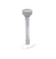 TERMOMETRO GALLEGGIANTE P/PISCINA 58072