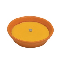 CITRONELLA IN COCCIO ANTIVENTO D 11 CM