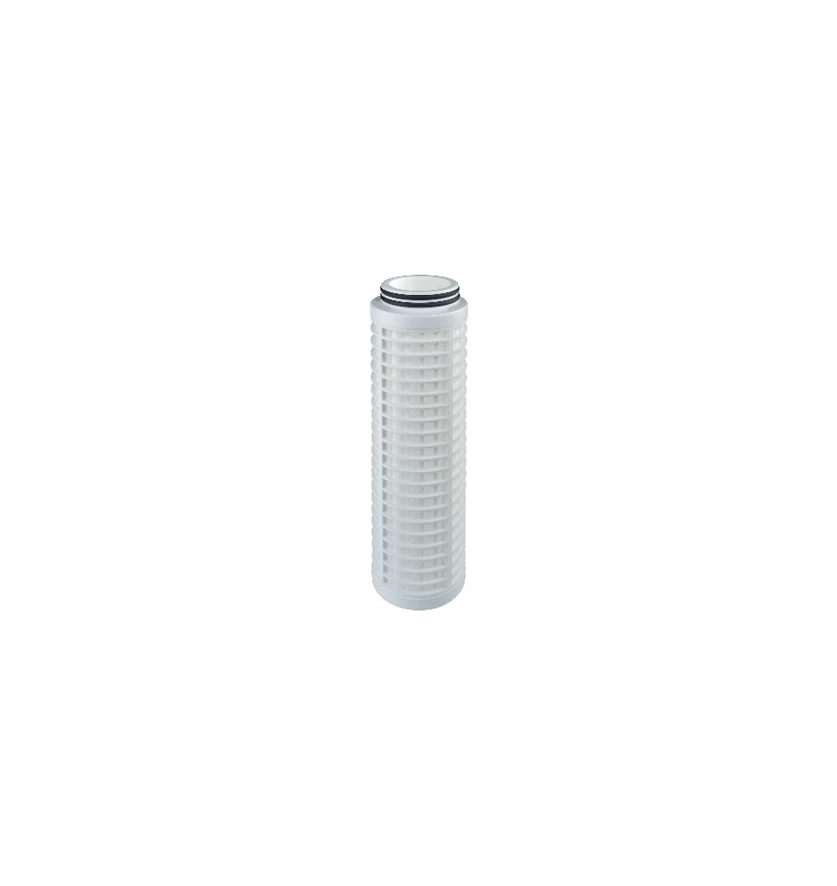 CARTUCCIA RL CX IN POLIESTERE 10" 250x70 mm - 50 micron
