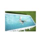 ELASTICO ALLENAMENTO NUOTO IN PISCINA 26033