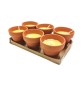 CITRONELLA IN COCCIO POLLICINO 7XH6 CM 6 PZ