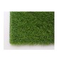 C TAPPETO ERBOSO SINTETICO SP50MM H2X25M HARPE50