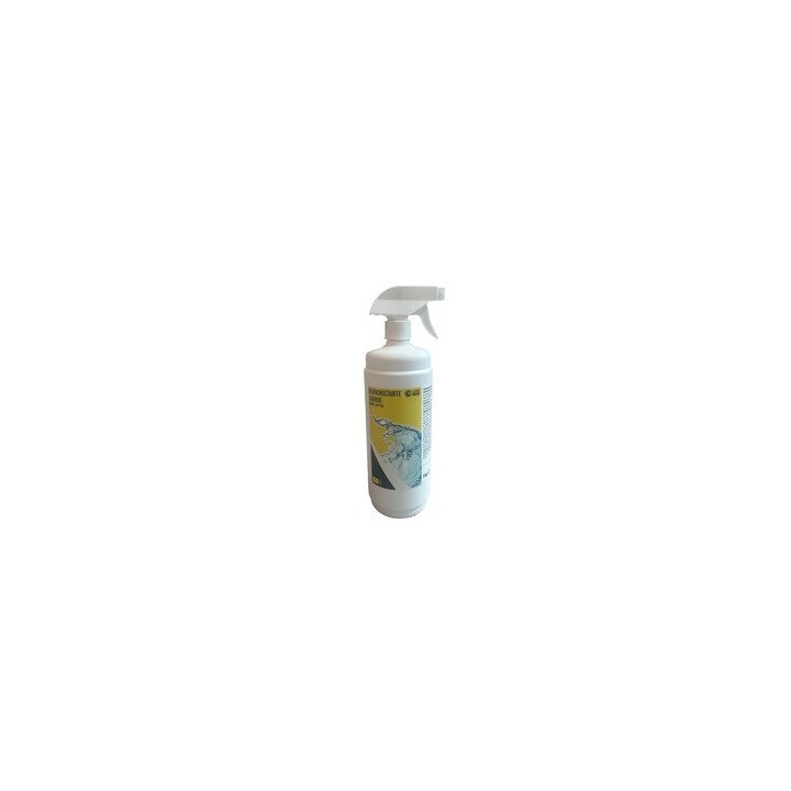 C DISINCROSTANTE PISCINA LIQUIDO 1 KG