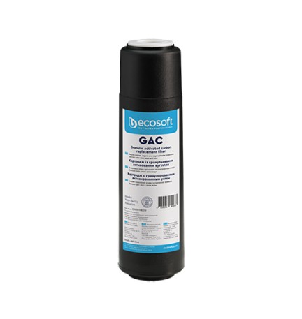CARTUCCIA FILTRANTE GAC 2,5" ECOSOFT H. 10"