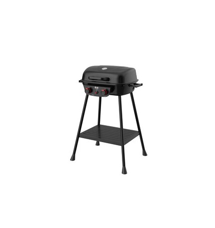 C BARBECUE A GAS 2 FUOCHI EASY HOT