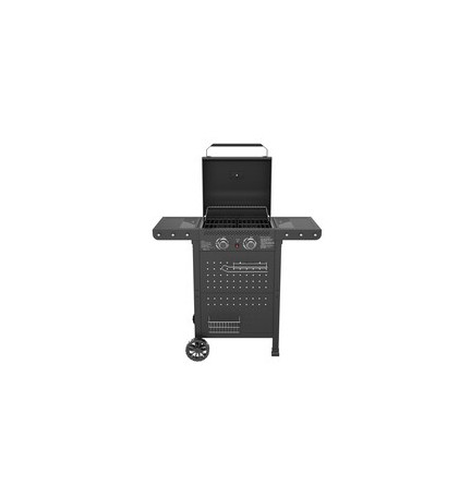 C BARBECUE A GAS 2 FUOCHI HOT 2