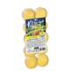 CITRONELLA TEA LIGHT MADE IN ITALY D 3,6X1,7 10 PZ