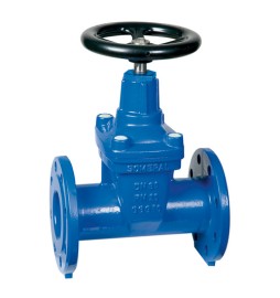 SARACINESCA CORPO OVALE DN 50 PN 25