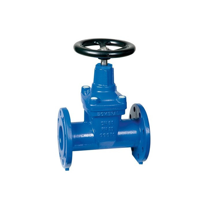 SARACINESCA CORPO OVALE DN 65 PN 25